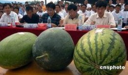 安徽网红地下室吃瓜,安徽“吃瓜”现象背后的故事